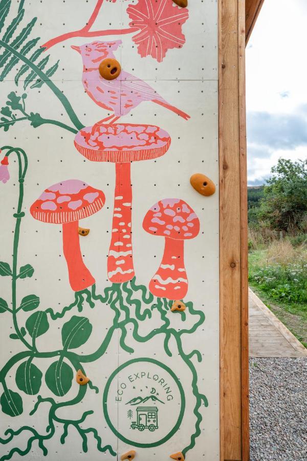Alba - Charming Boutique Forest View Cabin With Hot Tub In バラター エクステリア 写真